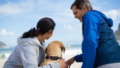 Why Pet Boarding Is a Great Option When You Travel