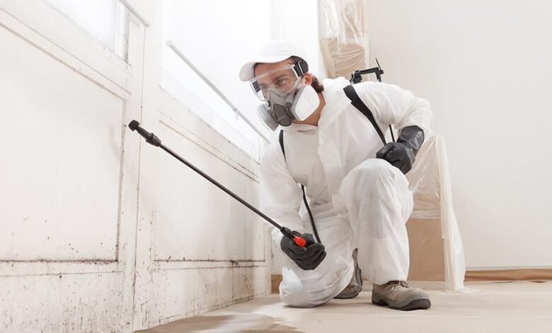 Why Mold Remediation Should Be a Priority for Your Health and Home