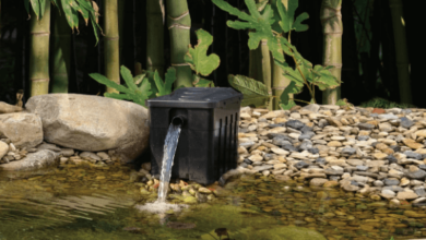 Pond Filter