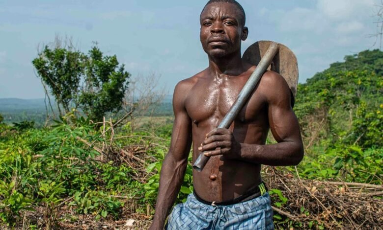 enhance digital growth tools