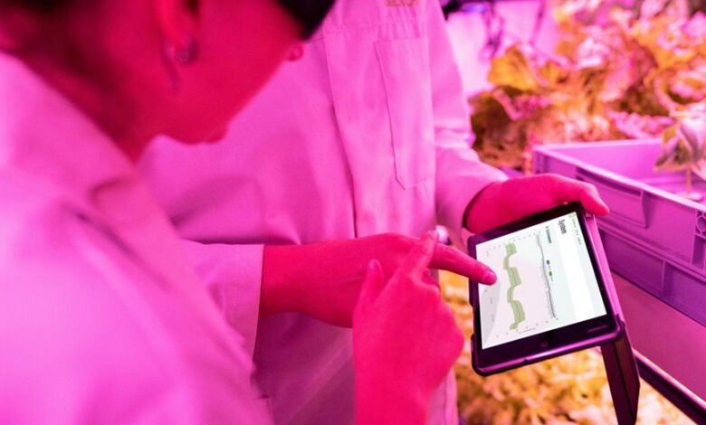 maximize growth with technology